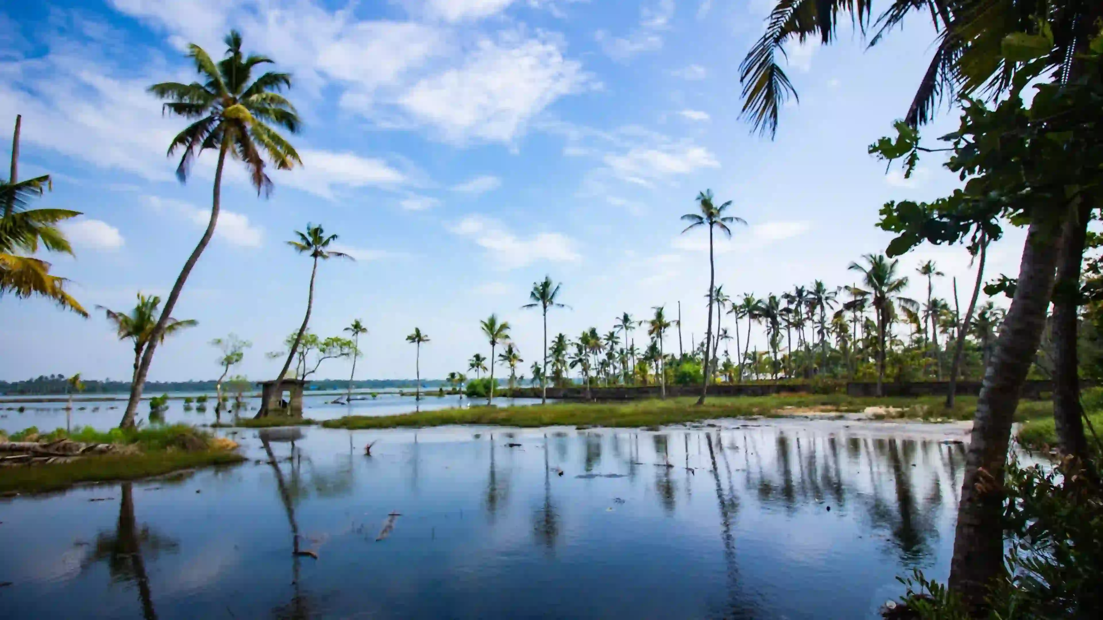 image of kerala