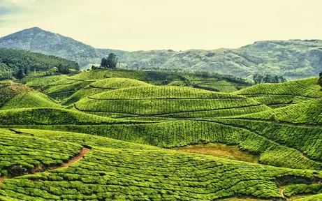 idukki