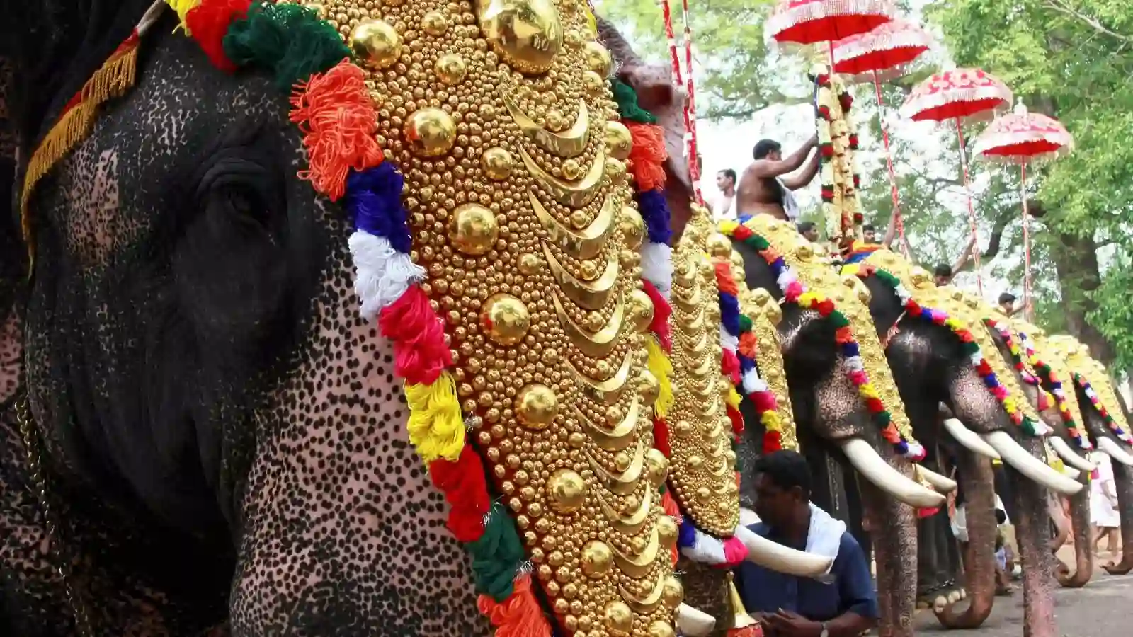 thrissur