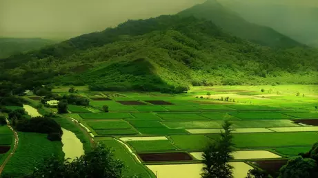 wayanad